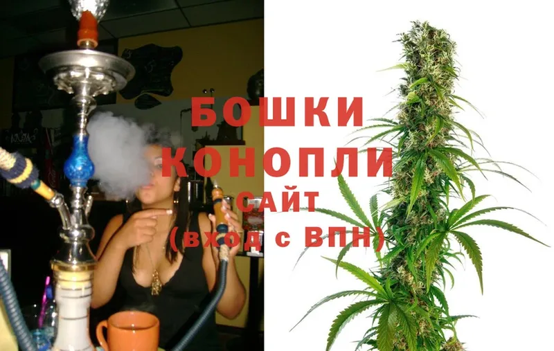 как найти наркотики  Касимов  Бошки Шишки THC 21% 